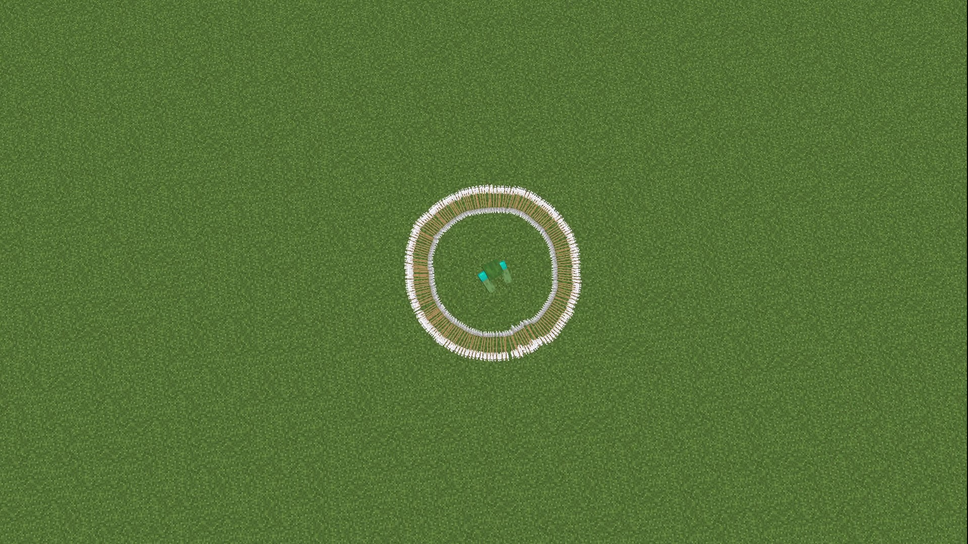 時を止める,マイクラ